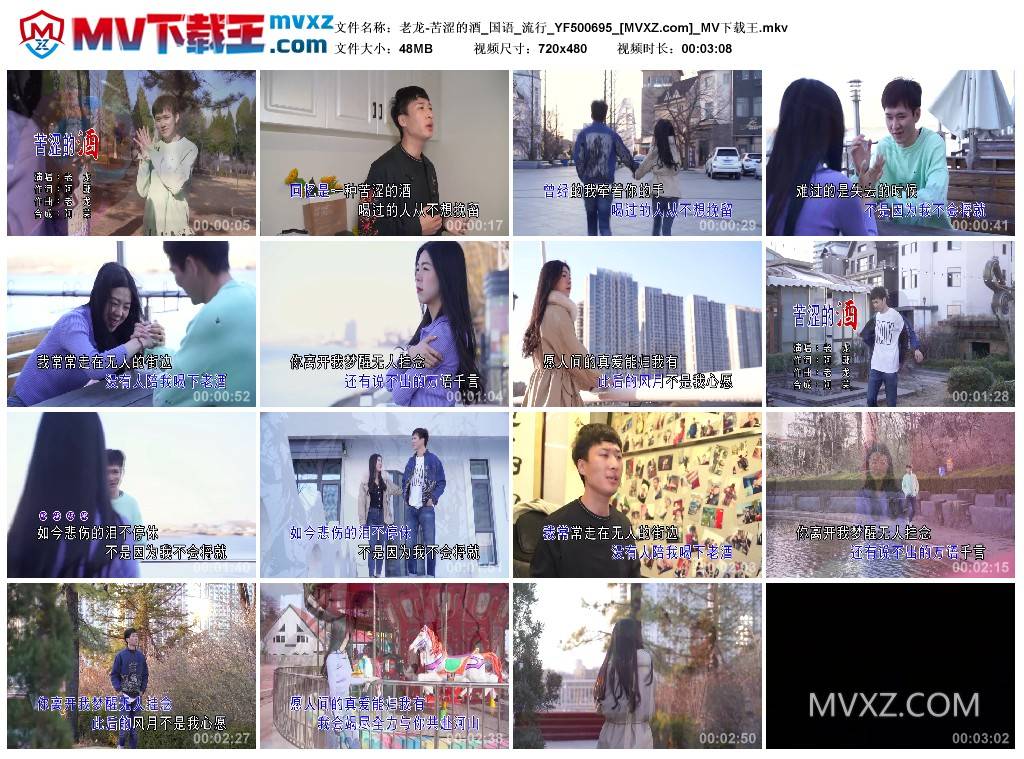 老龙-苦涩的酒_国语_流行_YF500695